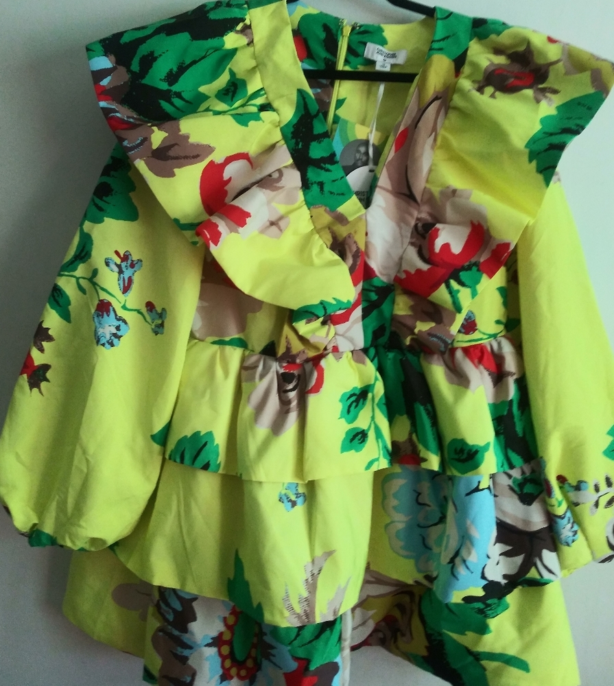NWT Christopher John Rogers for Target Dress, 16
